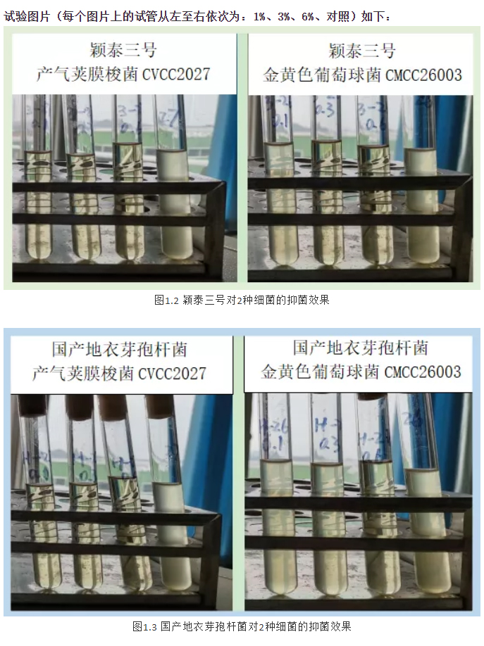 實(shí)驗(yàn)室簡明評估穎泰三號抑菌效果報告_02