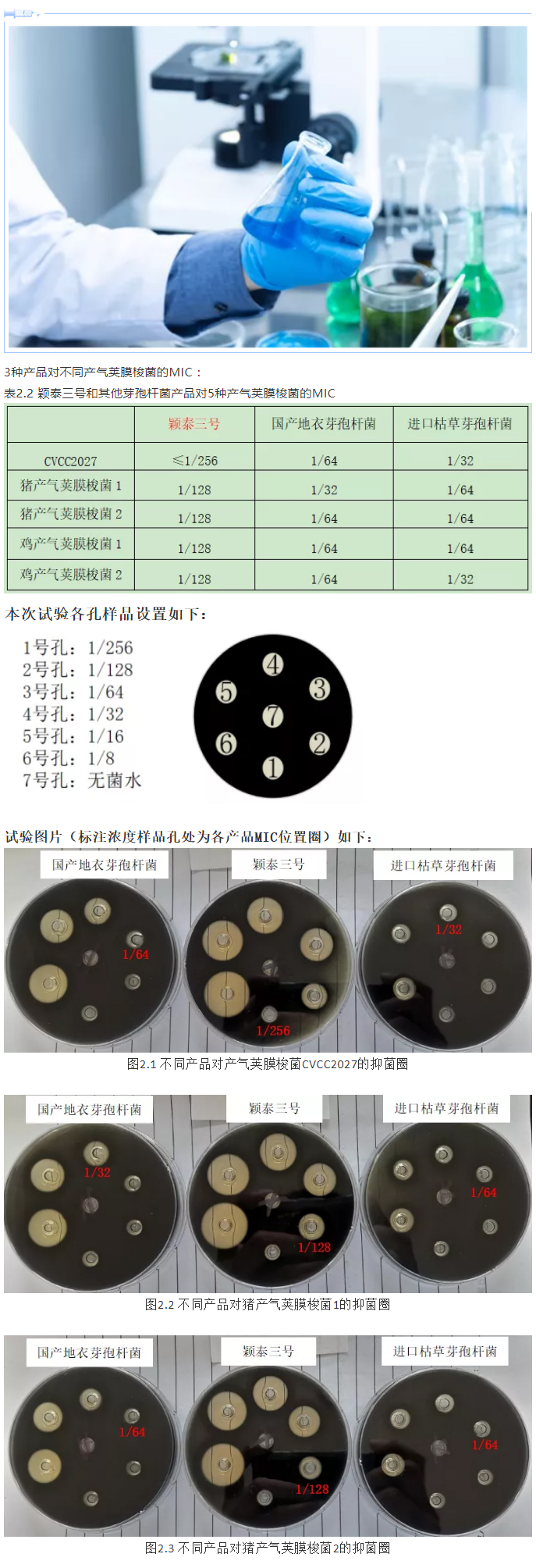 實(shí)驗(yàn)室簡明評估穎泰三號抑菌效果報告_04