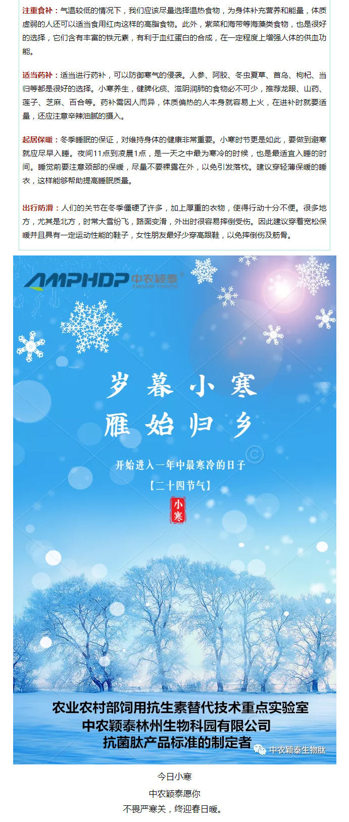 2022年（第2期）：小寒今日至，年味已冒頭_04