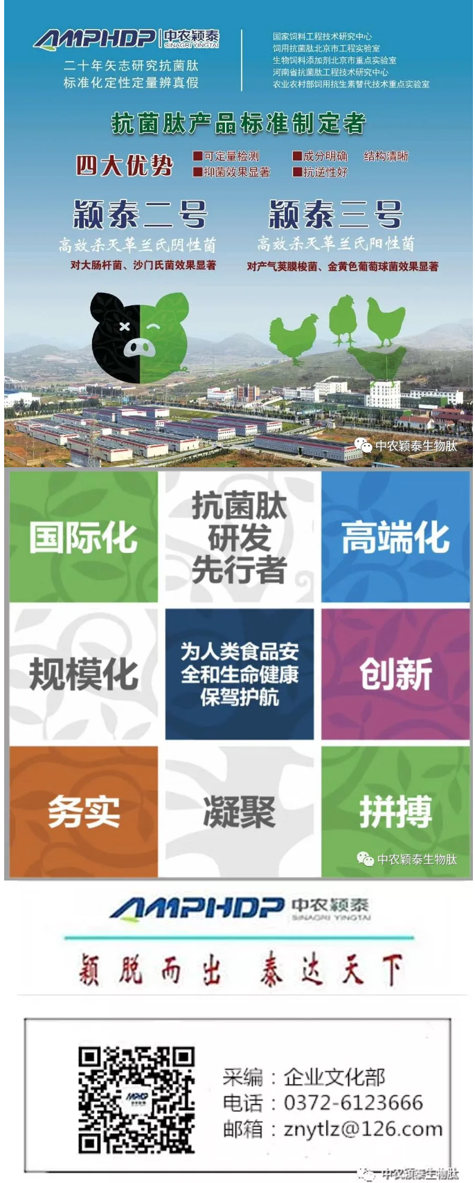 2022年（第5期）：大寒：愿您安暖幸福，歲歲平安_08
