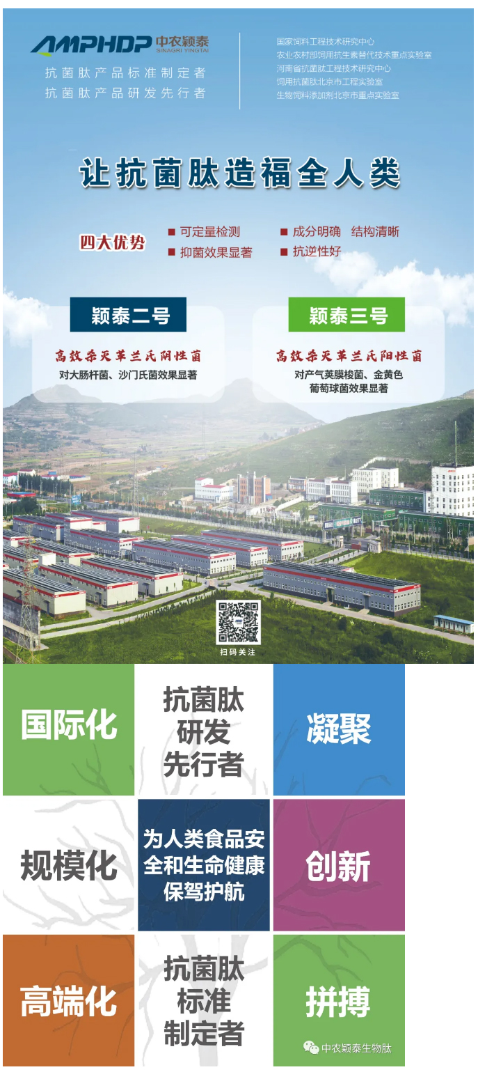 抓住歷史機遇-契合政策導向-再創(chuàng)穎泰輝煌--中農(nóng)穎泰添加劑2022年銷售動員大會召開_04
