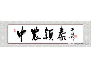 2021年：工作動(dòng)態(tài)，中農(nóng)穎泰工會(huì)順利換屆