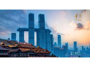 中農(nóng)穎泰集團(tuán)助力2021·太陽(yáng)鳥論壇盛大開(kāi)幕！