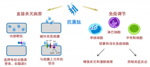 泰倍健——新型免疫增強(qiáng)劑，構(gòu)建核心抗病力